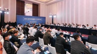 湖北：建設廳召開智能建造工作座談會